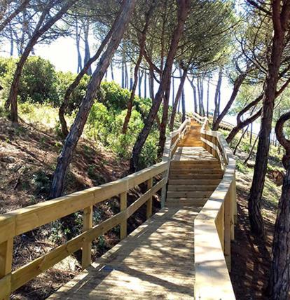 Beach,Surf, Hiking And More Maceira  Exterior photo
